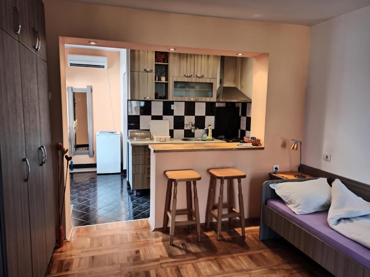 Apartman Ristic Нишка-Баня Экстерьер фото