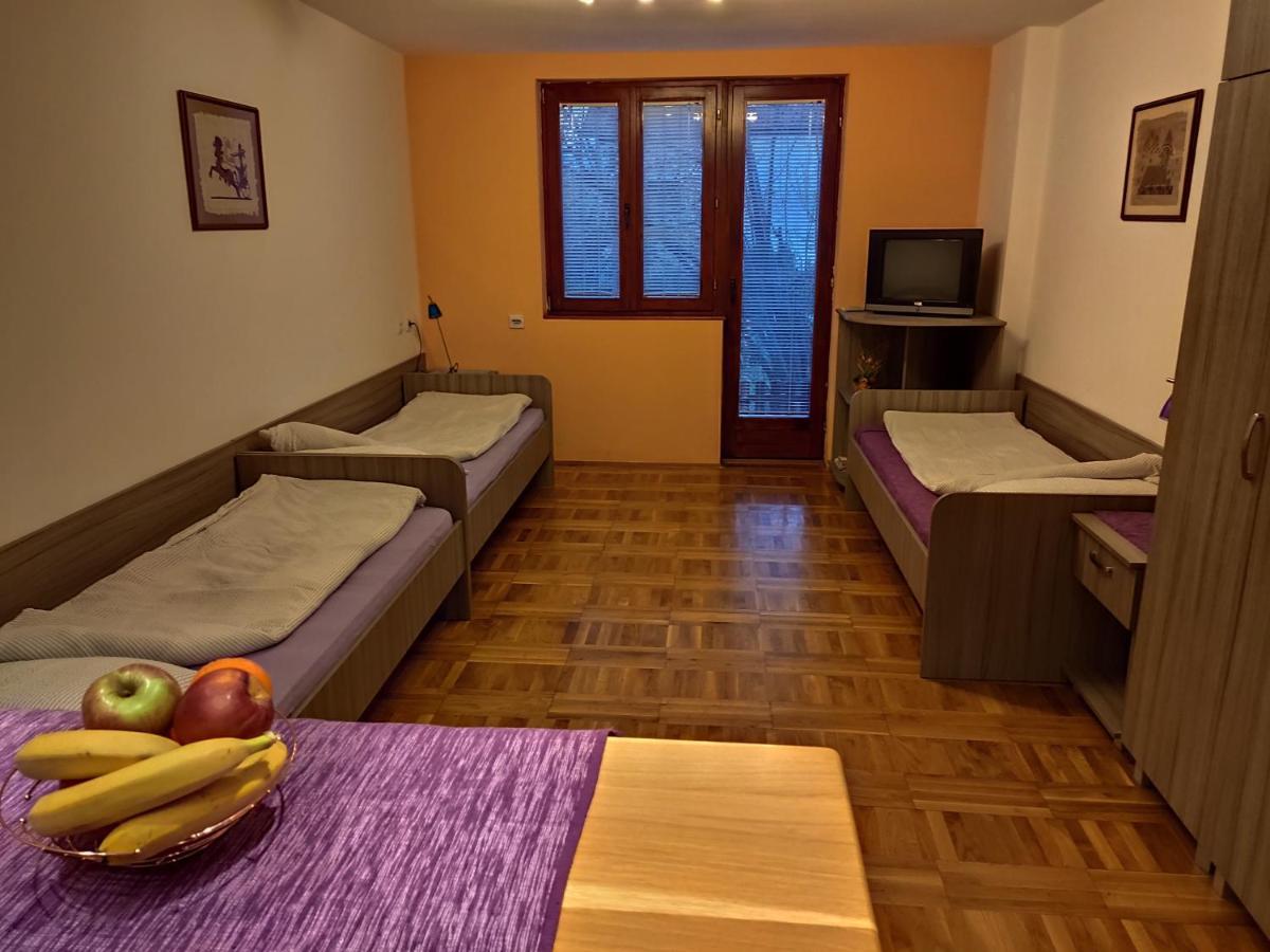 Apartman Ristic Нишка-Баня Экстерьер фото